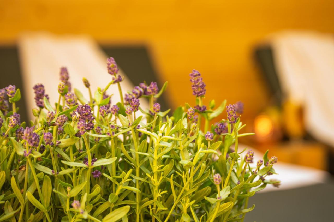 Wellness Mitten In Der Wasserfallstadt Triberg 트리베르크 외부 사진